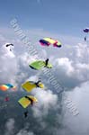 CSS7_4_04_230